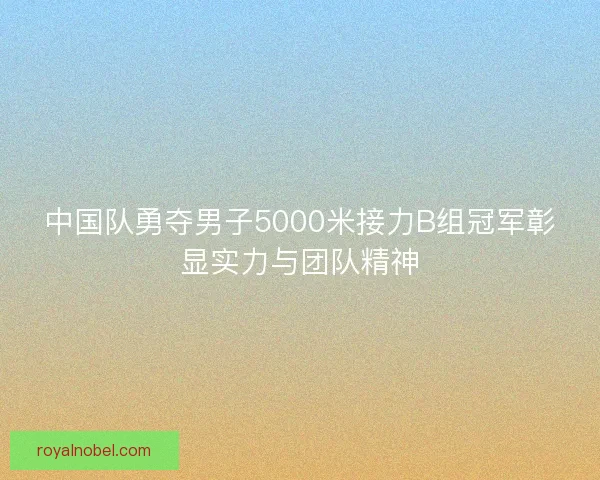 中国队勇夺男子5000米接力B组冠军彰显实力与团队精神