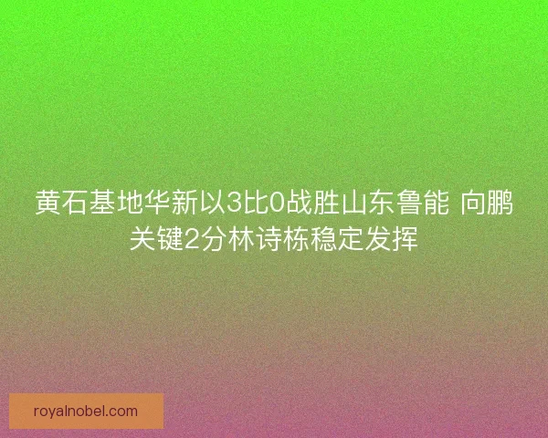 黄石基地华新以3比0战胜山东鲁能 向鹏关键2分林诗栋稳定发挥