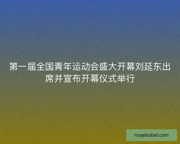 第一届全国青年运动会盛大开幕刘延东出席并宣布开幕仪式举行