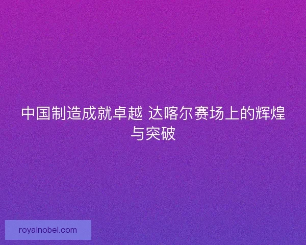 中国制造成就卓越 达喀尔赛场上的辉煌与突破